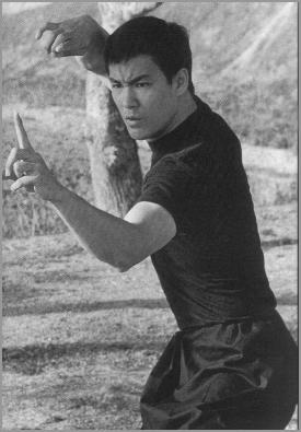 Jeet kune do — photo de l'ancien Sport-Fight.net