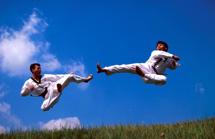 Taekwondo — photo de l'ancien Sport-Fight.net