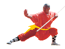 Hung gar — photo de l'ancien Sport-Fight.net