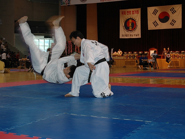 Hapkido — photo de l'ancien Sport-Fight.net