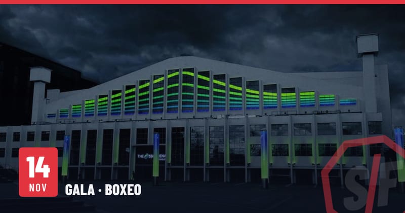 L'arena de Wembley, aujourd'hui OVO Arena Wembley, de nuit