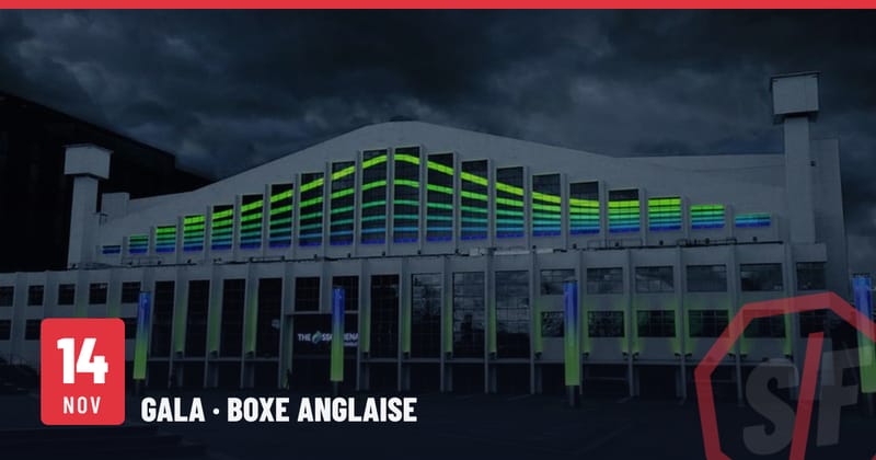 L'arena de Wembley, aujourd'hui OVO Arena Wembley, de nuit